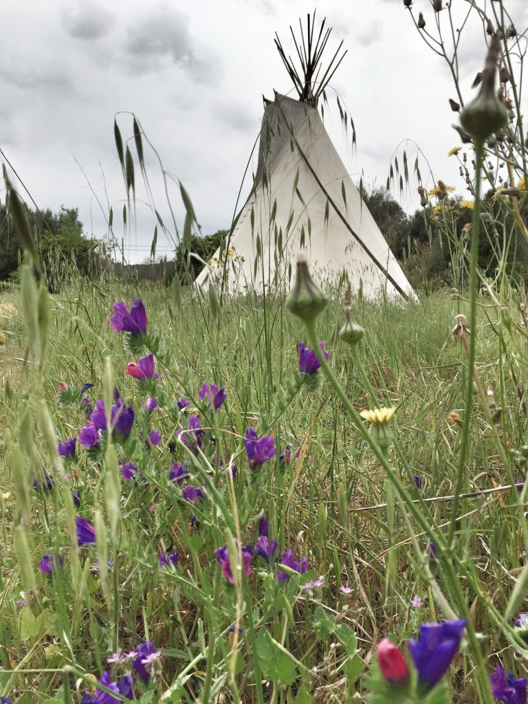 Teepee in a field